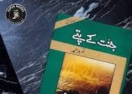 Cover of a historical novel with a medieval castle